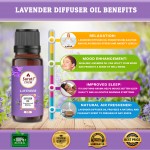 Premium LAVENDER Diffuser Oil (30 ml) - 100% Natural Aromatherapy Essential Oil for Diffusers - Relaxing and Calming Scen small-image